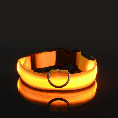 GlowGuard LED Pet Safety Collar - TransGlobalStore Co