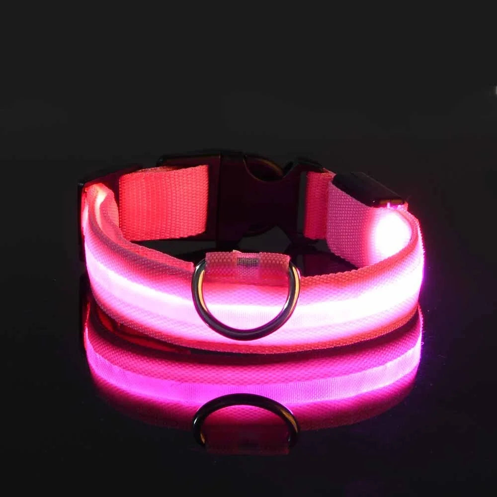 GlowGuard LED Pet Safety Collar - TransGlobalStore Co