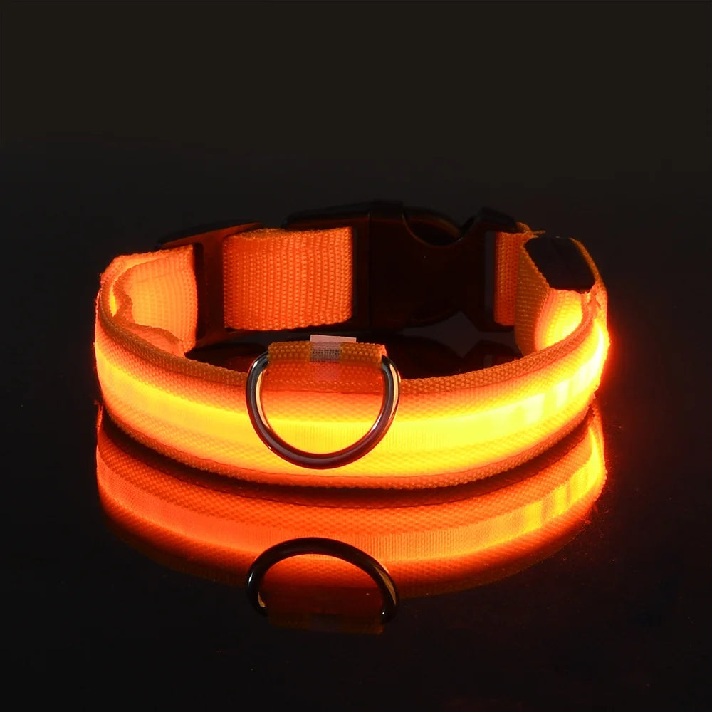 GlowGuard LED Pet Safety Collar - TransGlobalStore Co