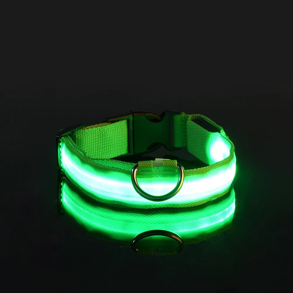 GlowGuard LED Pet Safety Collar - TransGlobalStore Co