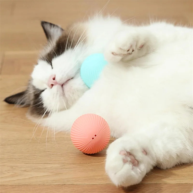 PawBounce Interactive Smart Ball - TransGlobalStore Co