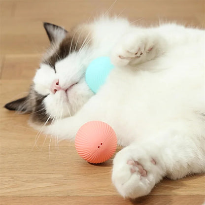 PawBounce Interactive Smart Ball - TransGlobalStore Co