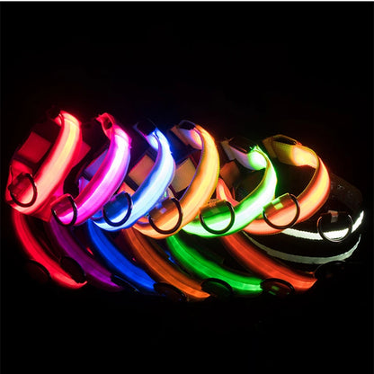 GlowGuard LED Pet Safety Collar - TransGlobalStore Co