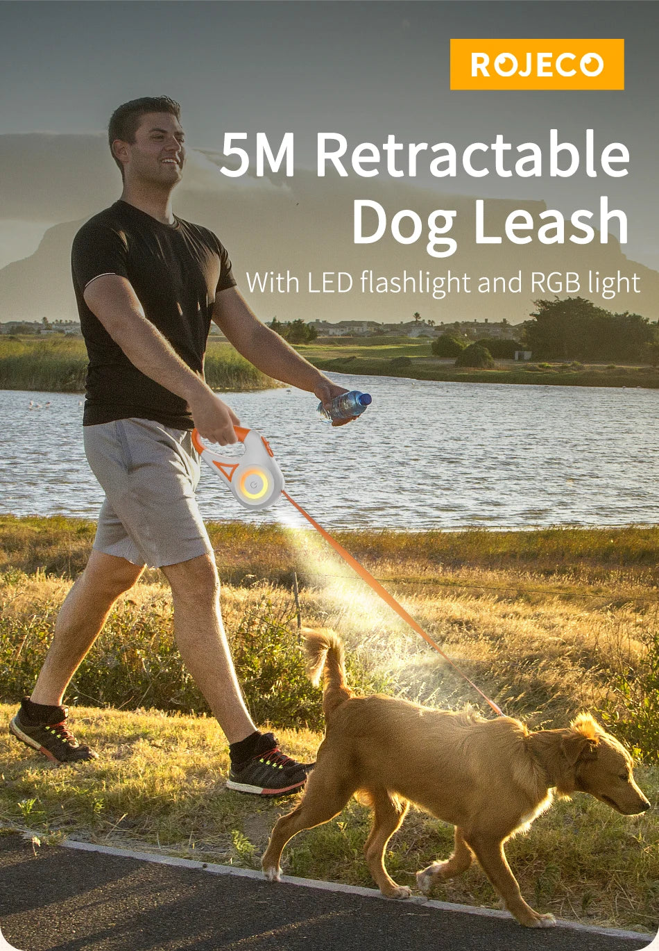 LumiLead Retractable Pet Leash - LED-Lit for Safe & Stylish Walks" - TransGlobalStore Co