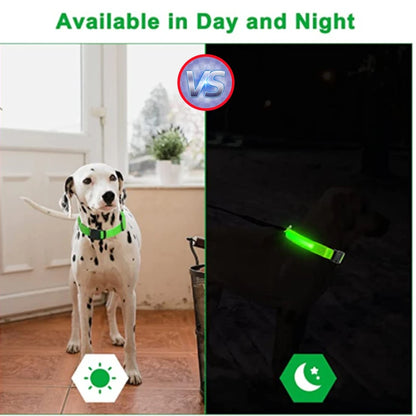 GlowGuard LED Pet Safety Collar - TransGlobalStore Co