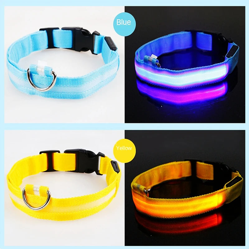 GlowGuard LED Pet Safety Collar - TransGlobalStore Co