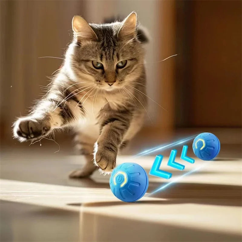 PawBounce Interactive Smart Ball - TransGlobalStore Co