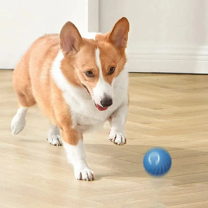 PawBounce Interactive Smart Ball - TransGlobalStore Co