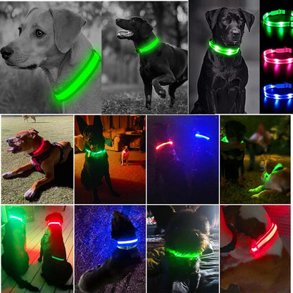 GlowGuard LED Pet Safety Collar - TransGlobalStore Co