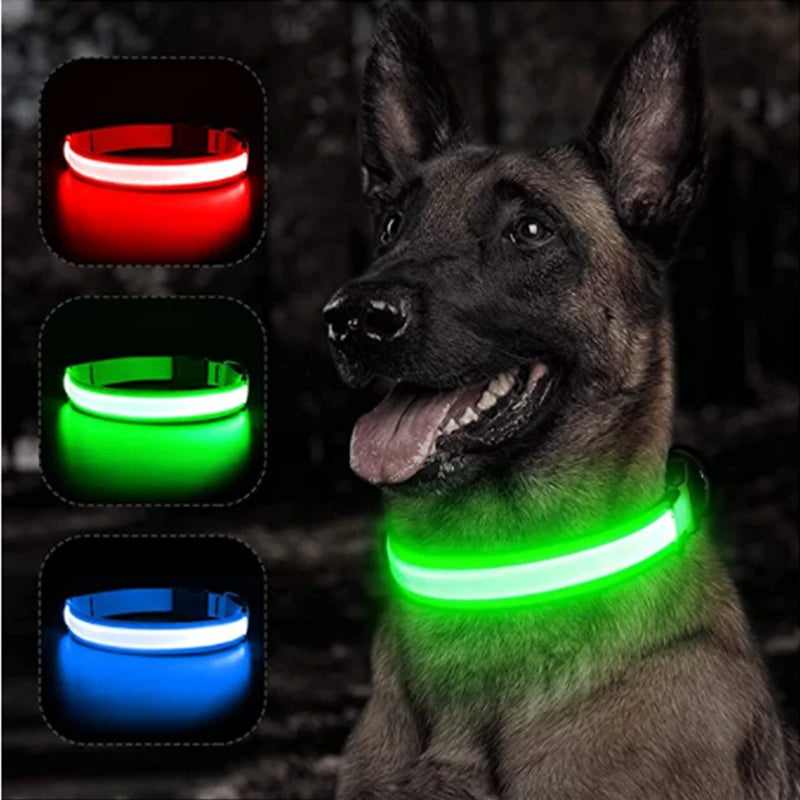 GlowGuard LED Pet Safety Collar - TransGlobalStore Co