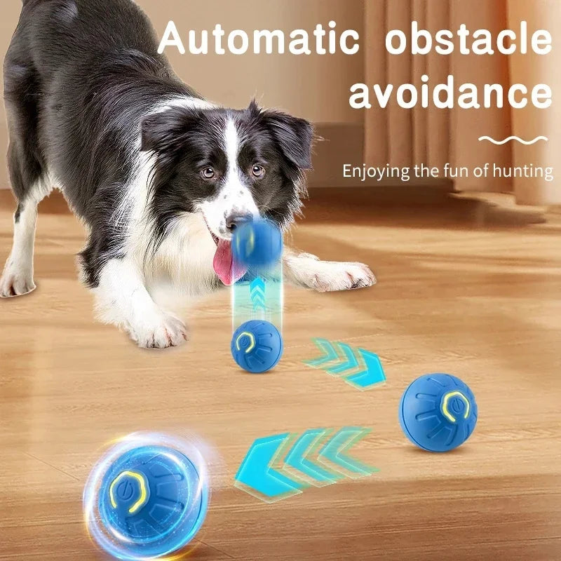 PawBounce Interactive Smart Ball - TransGlobalStore Co