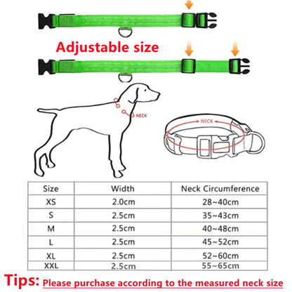 GlowGuard LED Pet Safety Collar - TransGlobalStore Co