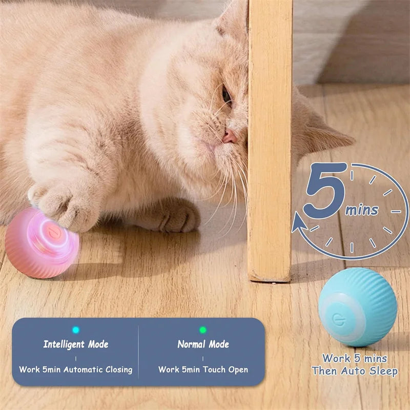 PawBounce Interactive Smart Ball - TransGlobalStore Co