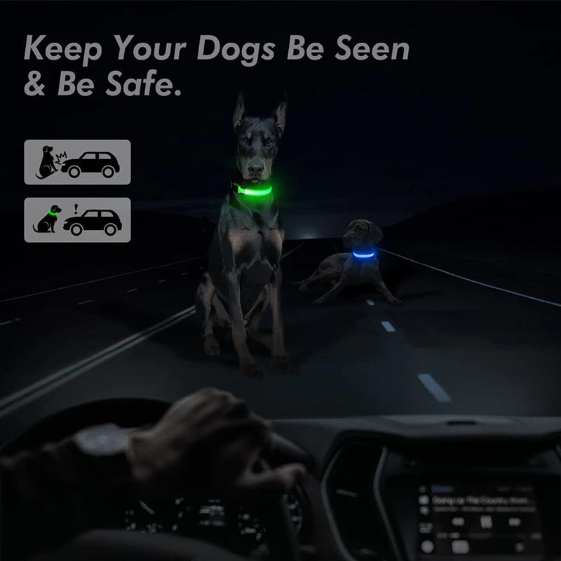 GlowGuard LED Pet Safety Collar - TransGlobalStore Co