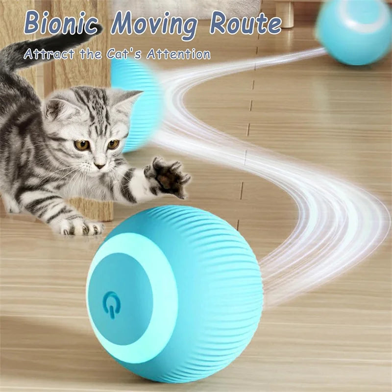 PawBounce Interactive Smart Ball - TransGlobalStore Co